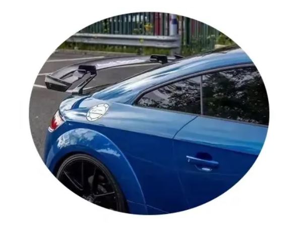 Audi TT/TTS/TTRS Carbon Fiber Rear Spoiler (Carbon Wings)